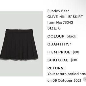 Aritzia Sunday best skirt 15”
